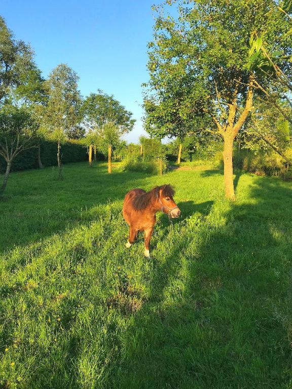 Domaine 10 - Schore19 de Domaine 10