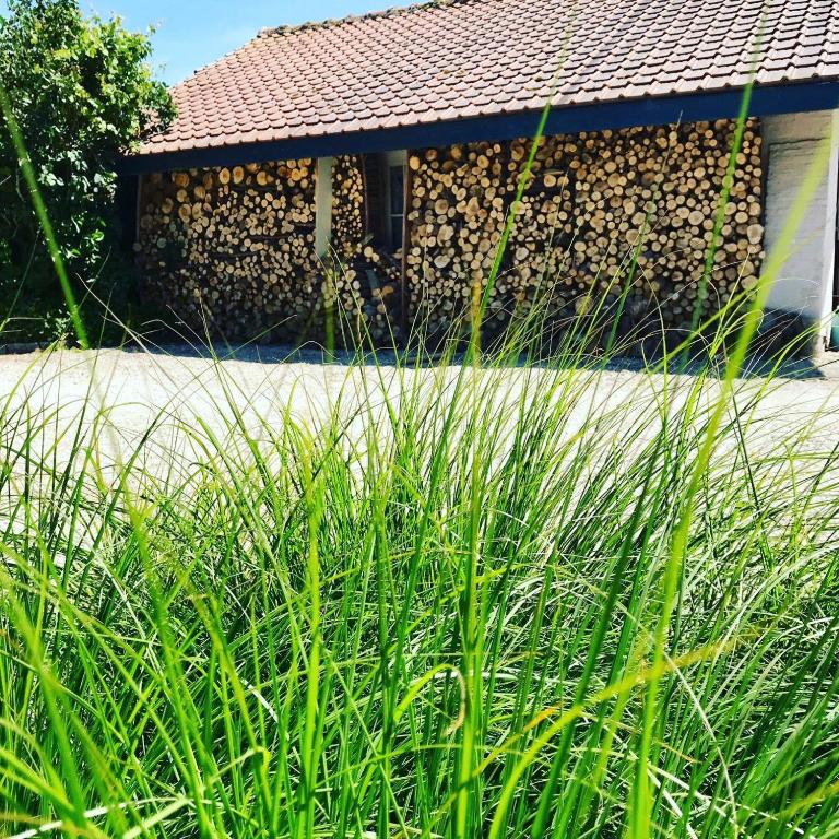 Domaine 10 - Schore18 de Domaine 10