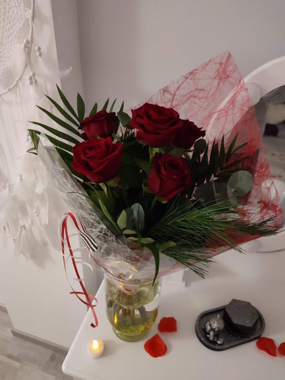 Gîte Ange ou Démon, jacuzzi, sauna, love room, location à la journée - Benfeld17 de Gîte Ange ou Démon, jacuzzi, sauna, love room, location à la journée