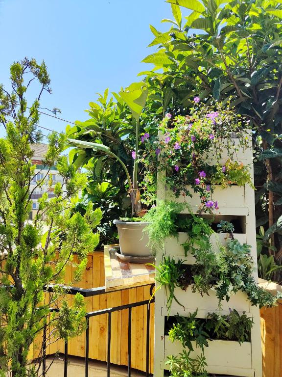 Le Néflier Dijon - appart balnéo - SPA romantique pour 2 - Dijon5 de Le Néflier Dijon - appart balnéo - SPA romantique pour 2