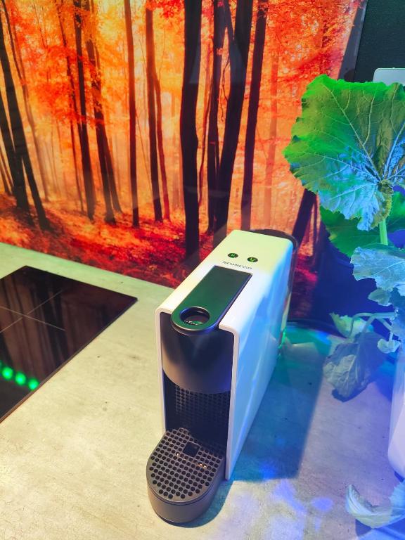 Le Néflier Dijon - appart balnéo - SPA romantique pour 2 - Dijon8 de Le Néflier Dijon - appart balnéo - SPA romantique pour 2