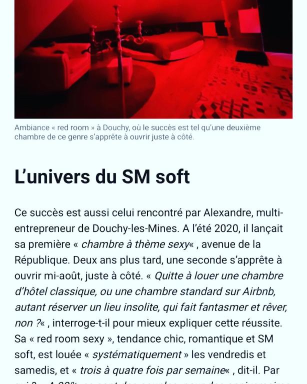 Redroom Loveroom Chambre Spa privative Insolite Thème 50 nuances de grey - Douchy-les-Mines9 de Redroom Loveroom Chambre Spa privative Insolite Thème 50 nuances de grey