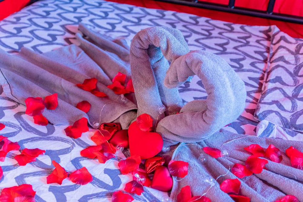 Jacuzzi - Love - BDSM - Extra Luxury - EV chargger - Valentine's Day - Red Room - Flexible SelfCheckIns 28 - Zagreb44 de Jacuzzi - Love - BDSM - Extra Luxury - EV chargger - Valentine's Day - Red Room - Flexible SelfCheckIns 28