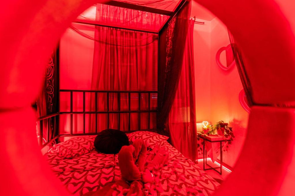 Jacuzzi - Love - BDSM - Extra Luxury - EV chargger - Valentine's Day - Red Room - Flexible SelfCheckIns 28 - Zagreb24 de Jacuzzi - Love - BDSM - Extra Luxury - EV chargger - Valentine's Day - Red Room - Flexible SelfCheckIns 28
