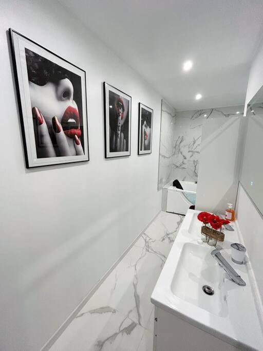 Love Room 80m2 BDSM 50 nuances de Grey - SAUNA - Parking gratuit - Antibes30 de Love Room 80m2 BDSM 50 nuances de Grey - SAUNA - Parking gratuit