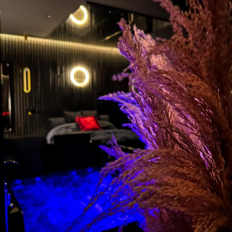 BlackRoom Suite de Luxe 50 Nuances de grey - Le Havre38 de BlackRoom Suite de Luxe 50 Nuances de grey