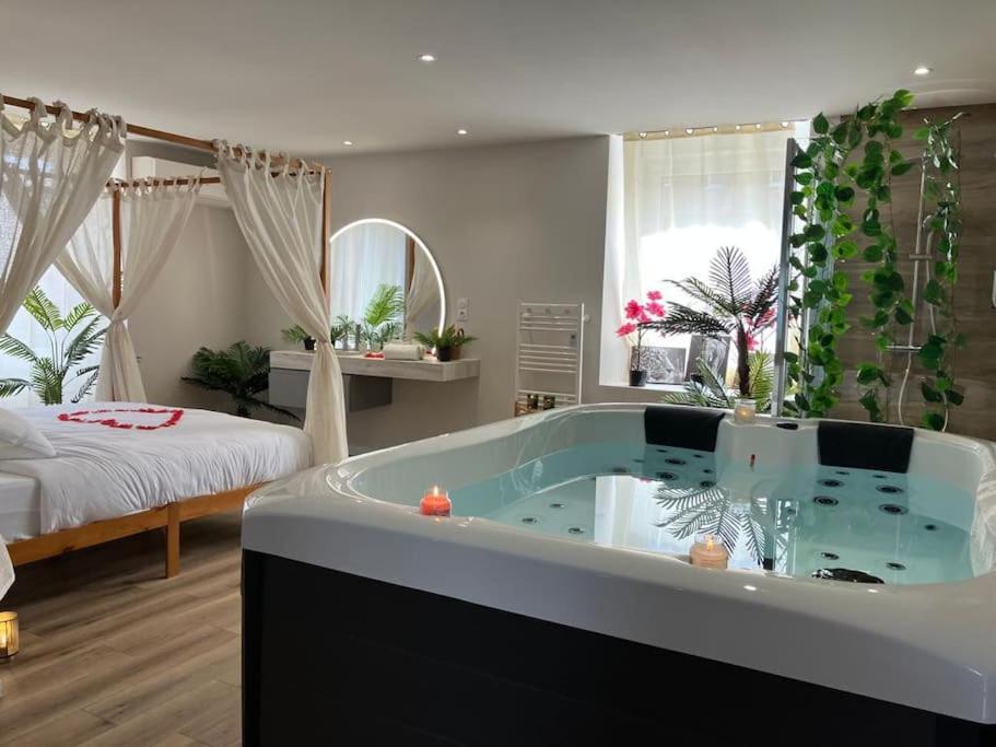 Jungle Secret SPA Nuit insolite - Giromagny11 de Jungle Secret SPA Nuit insolite