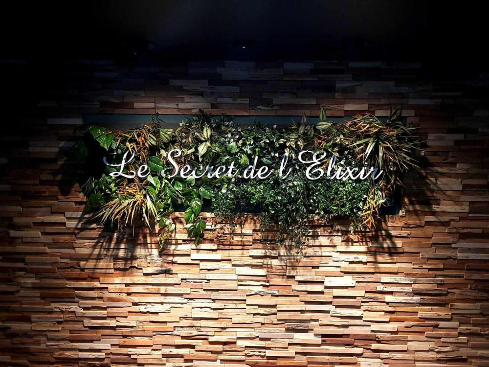 Love gite avec Spa nage privatif et espace coquin - Le Secret de l'Elixir - Argentré-du-Plessis21 de Love gite avec Spa nage privatif et espace coquin - Le Secret de l'Elixir