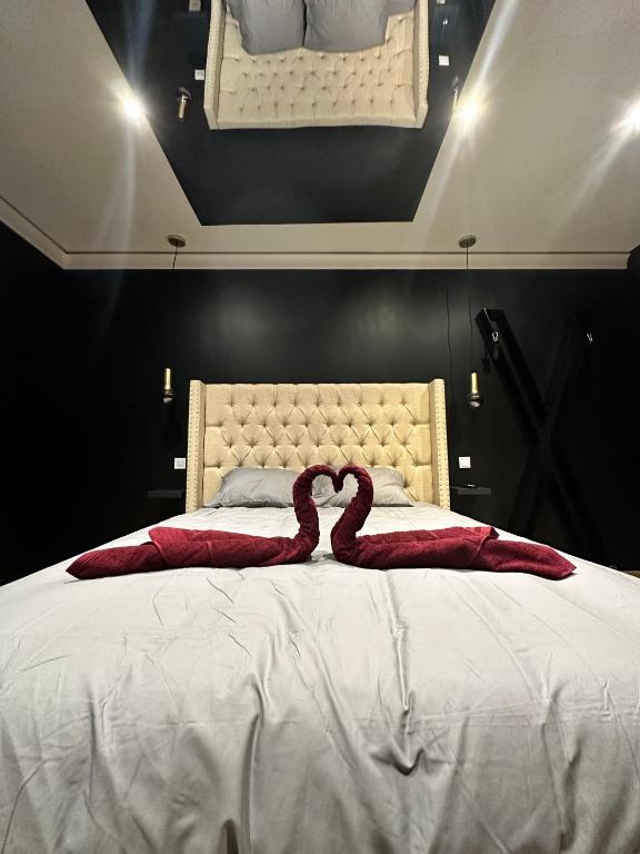 Dark Room BLOIS - Love Room - Saint-Gervais-la-Forêt6 de Dark Room BLOIS - Love Room