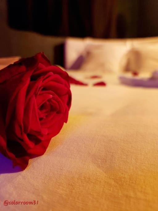 Colorroom31 - Nuit insolite - Spa - Tantra - Love room - Rouffiac-Tolosan22 de Colorroom31 - Nuit insolite - Spa - Tantra - Love room