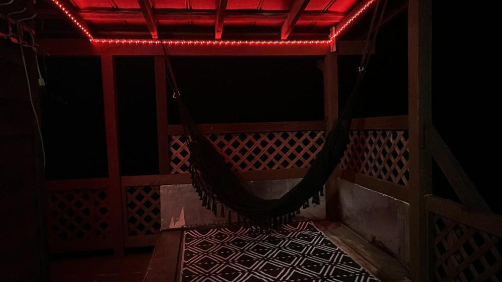 Erotic escapes - Big Woods16 de Erotic escapes