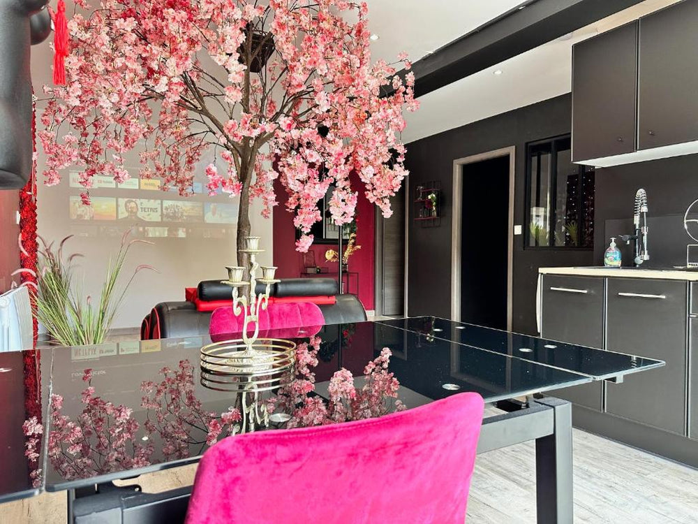 Suite Jeux d’Amour Jacuzzi / Love Room - Saint Die17 de Suite Jeux d’Amour Jacuzzi / Love Room