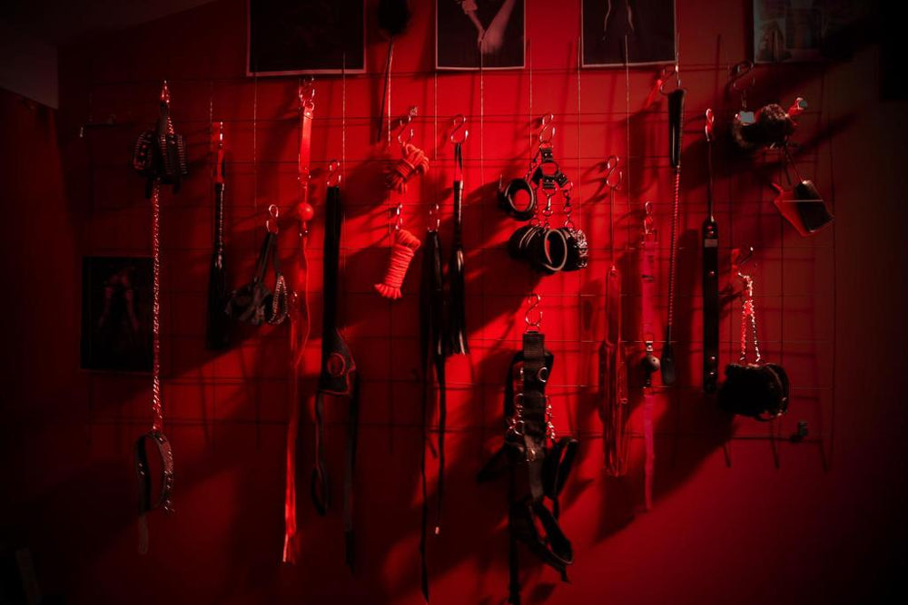 Red Palace Apartament BDSM - Bydgoszcz5 de Red Palace Apartament BDSM