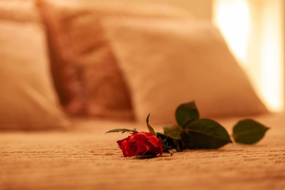 Love Room Perpignan Jacuzzi & Ambiance romantique - Villeneuve-de-la-Raho10 de Love Room Perpignan Jacuzzi & Ambiance romantique