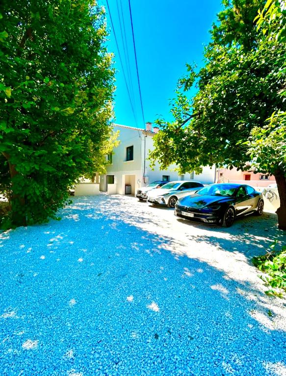 BDSM TANTRA Love Room Salon-de-Provence - Salon-de-Provence8 de BDSM TANTRA Love Room Salon-de-Provence