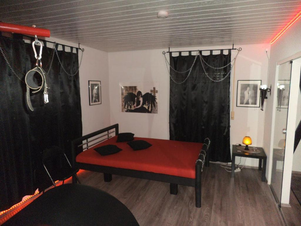 Exclusiv-Mietapartment (BDSM)-Heidelberg - Heidelberg14 de Exclusiv-Mietapartment (BDSM)-Heidelberg
