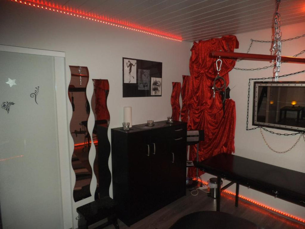 Exclusiv-Mietapartment (BDSM)-Heidelberg - Heidelberg16 de Exclusiv-Mietapartment (BDSM)-Heidelberg
