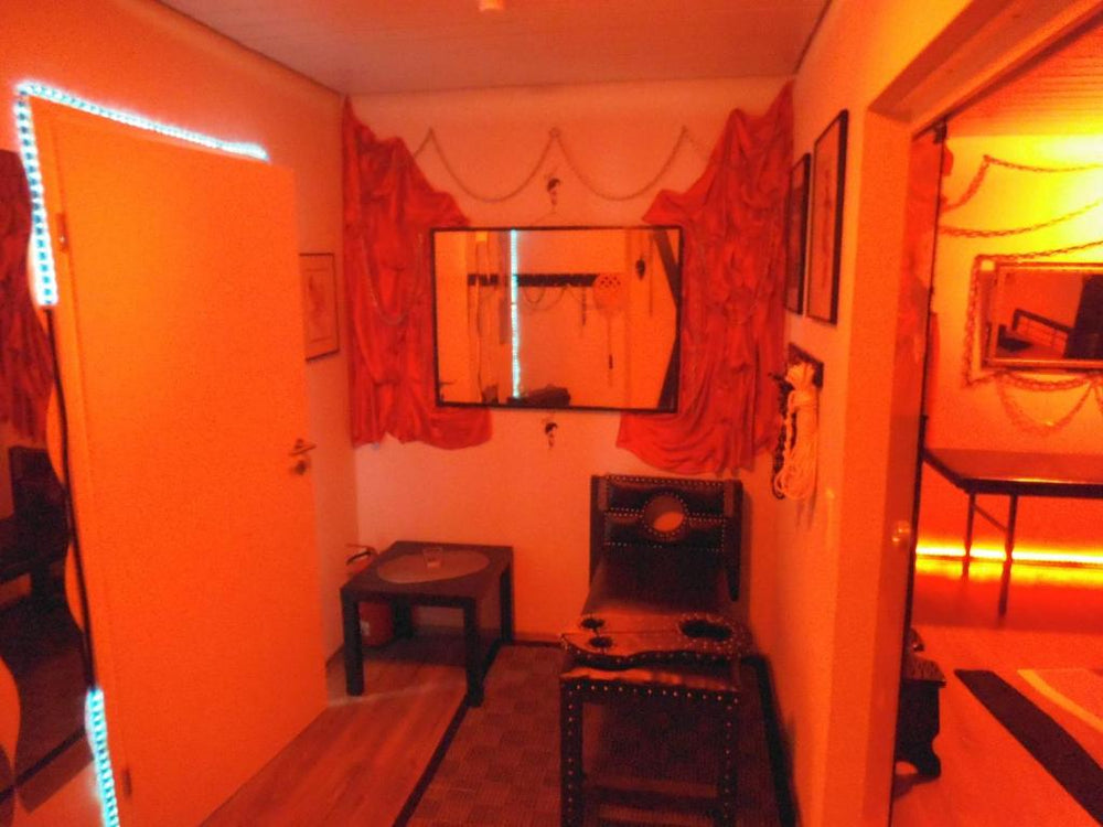 Exclusiv-Mietapartment (BDSM)-Heidelberg - Heidelberg13 de Exclusiv-Mietapartment (BDSM)-Heidelberg
