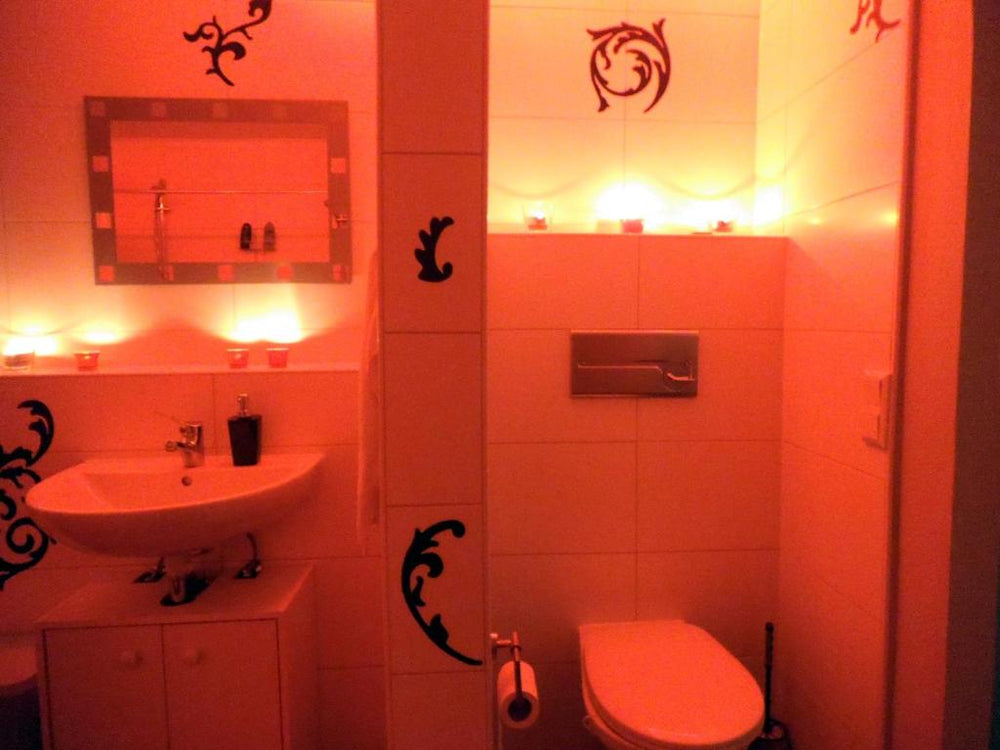 Exclusiv-Mietapartment (BDSM)-Heidelberg - Heidelberg9 de Exclusiv-Mietapartment (BDSM)-Heidelberg
