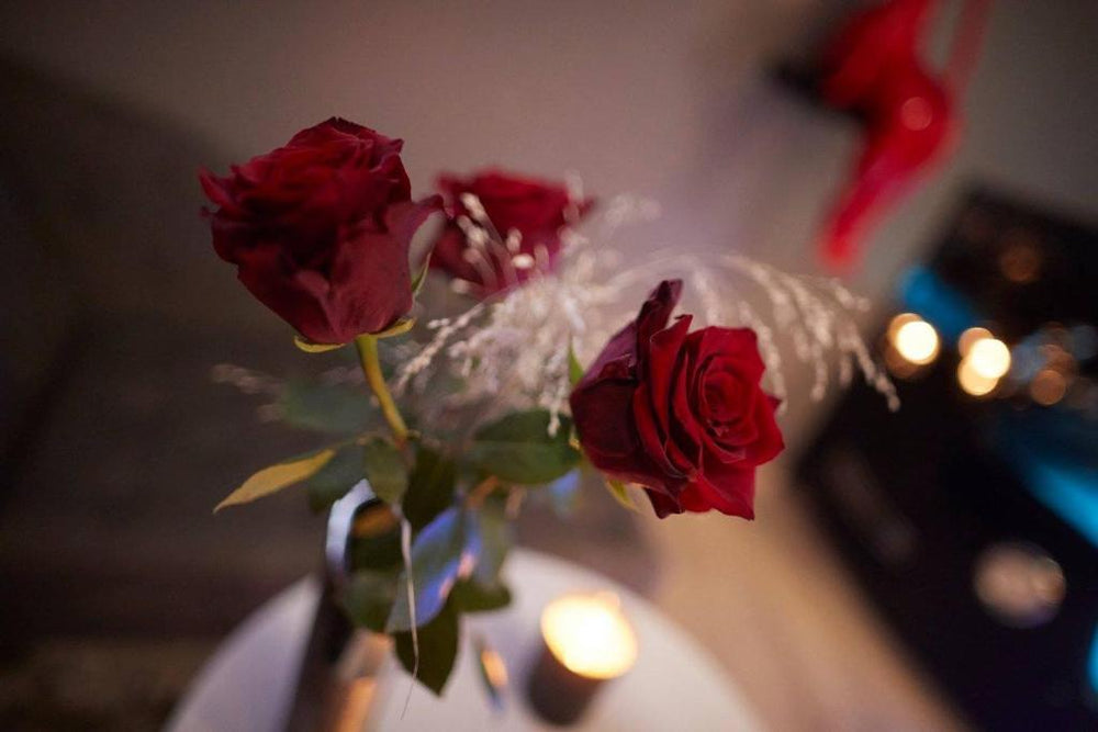 Crystal Love Appart - Pornichet11 de Crystal Love Appart
