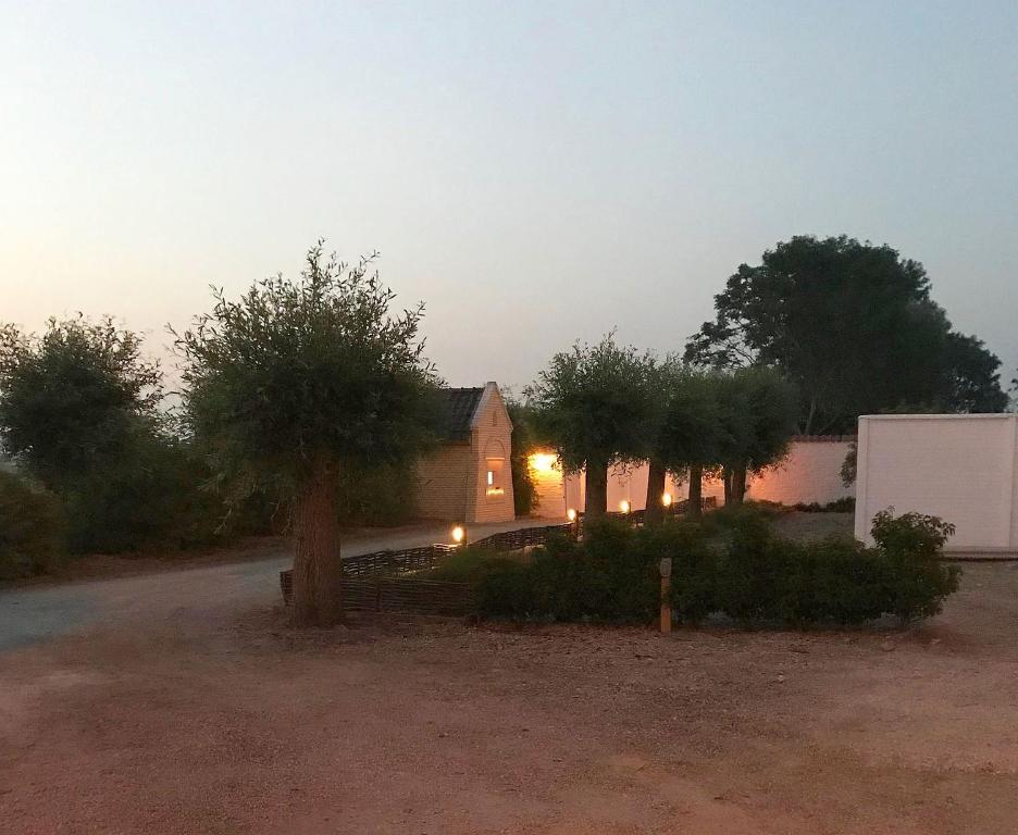 Domaine 10 - Schore13 de Domaine 10
