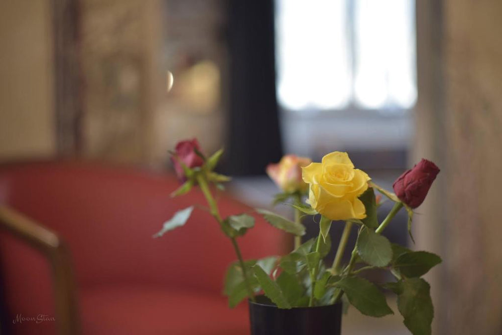 La Duchesse - Loveroom Moonlove Place Stanislas - Nancy24 de La Duchesse - Loveroom Moonlove Place Stanislas
