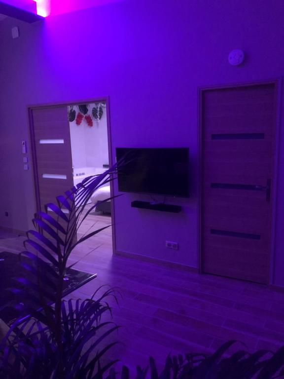 L EDEN et sa love room avec balnéothérapie - Maisons-Alfort15 de L EDEN et sa love room avec balnéothérapie
