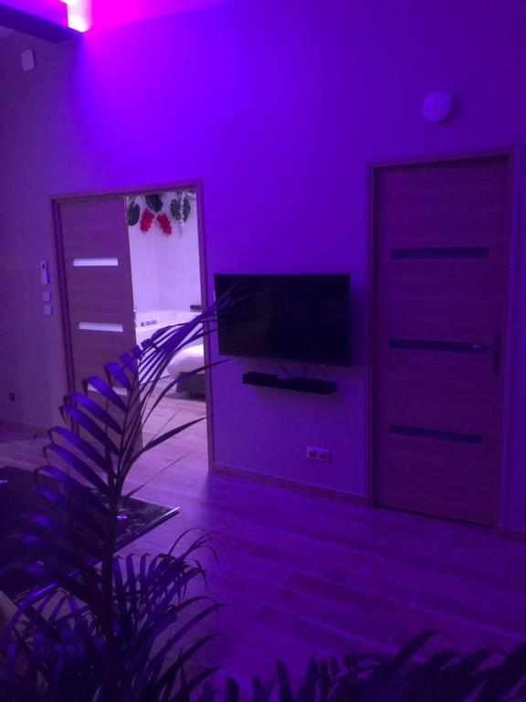 L EDEN et sa love room avec balnéothérapie - Maisons-Alfort5 de L EDEN et sa love room avec balnéothérapie
