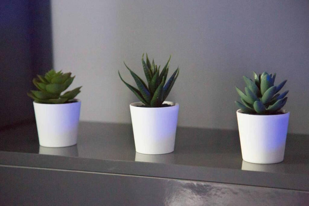 Gîte Love Dream - Le Gîte Romantique - Ger10 de Gîte Love Dream - Le Gîte Romantique
