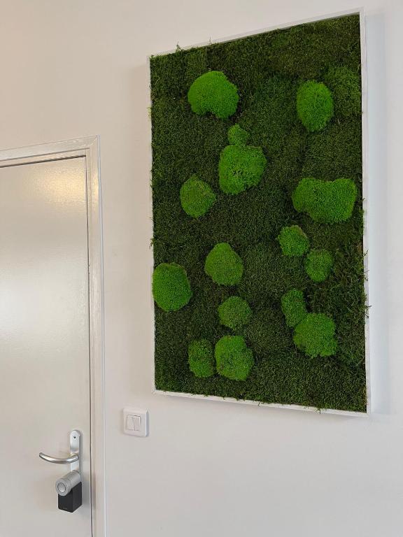 Love Viou - Ramonchamp24 de Love Viou
