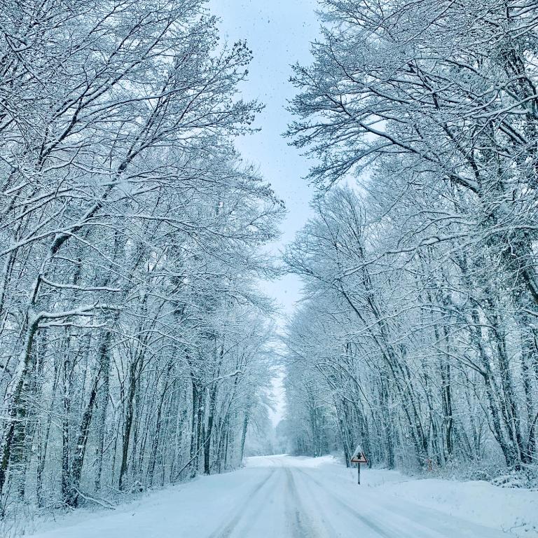 Love Viou - Ramonchamp18 de Love Viou
