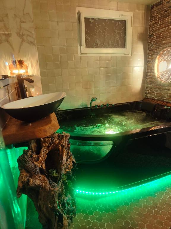 Le Néflier Dijon - appart balnéo - SPA romantique pour 2 - Dijon1 de Le Néflier Dijon - appart balnéo - SPA romantique pour 2
