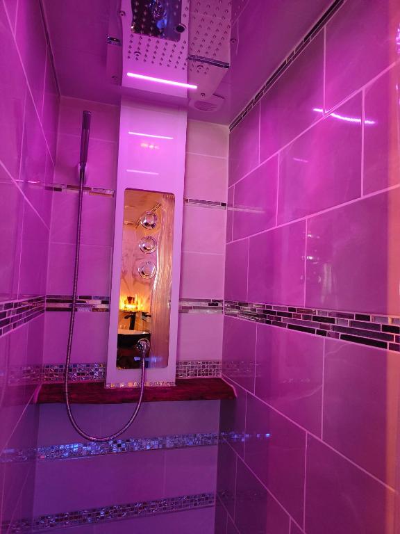 Le Néflier Dijon - appart balnéo - SPA romantique pour 2 - Dijon24 de Le Néflier Dijon - appart balnéo - SPA romantique pour 2
