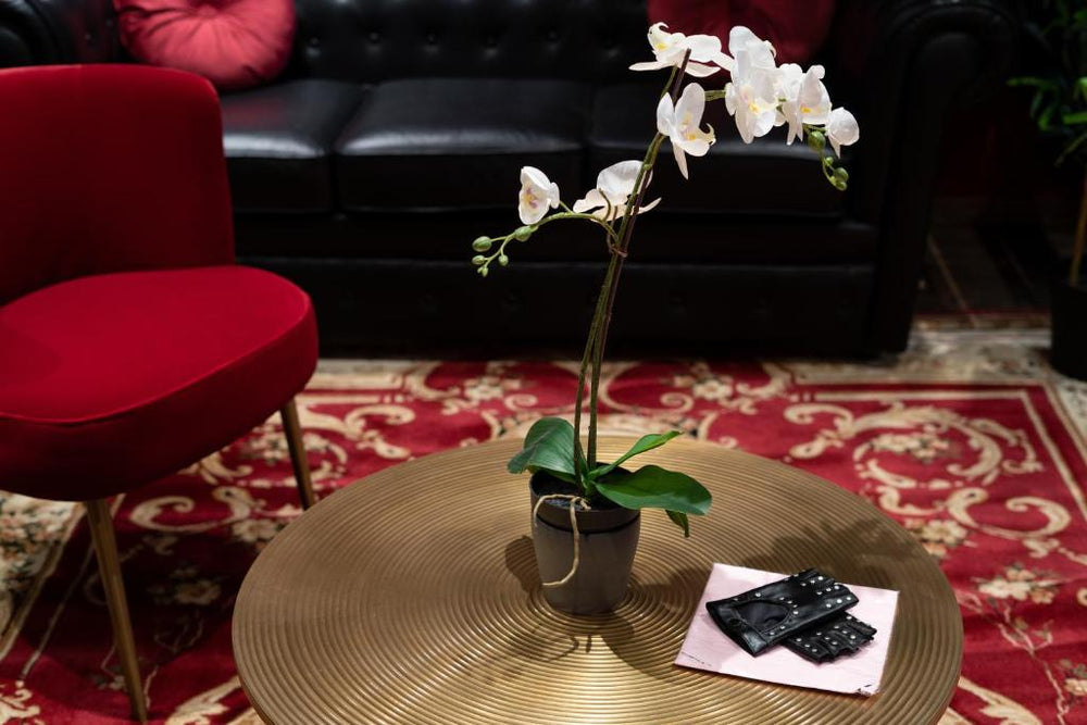 Capsule Secret - Jacuzzi - Netflix & Home cinéma - Jeux de couple - Barre de pole dance - Valenciennes19 de Capsule Secret - Jacuzzi - Netflix & Home cinéma - Jeux de couple - Barre de pole dance
