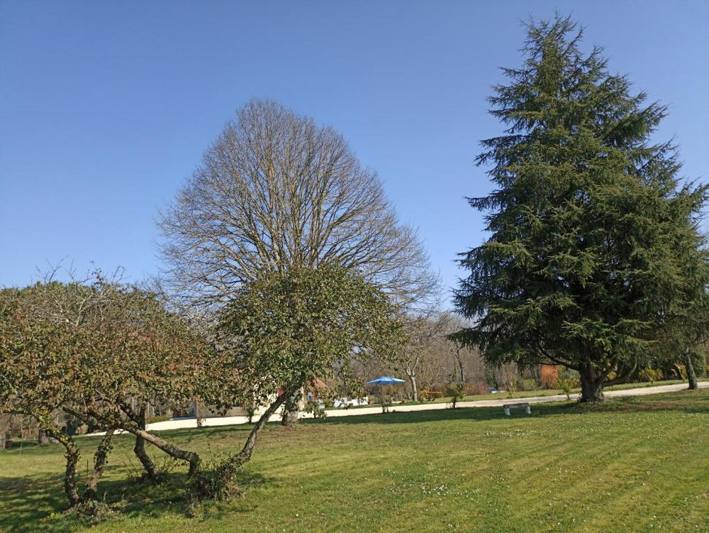 Domaine CocoBeach - Bergerac25 de Domaine CocoBeach
