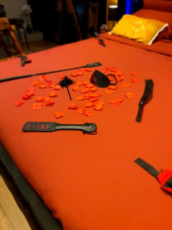 La loveroom bdsm grassoise "La chambre des désirs" - Grasse2 de La loveroom bdsm grassoise "La chambre des désirs"
