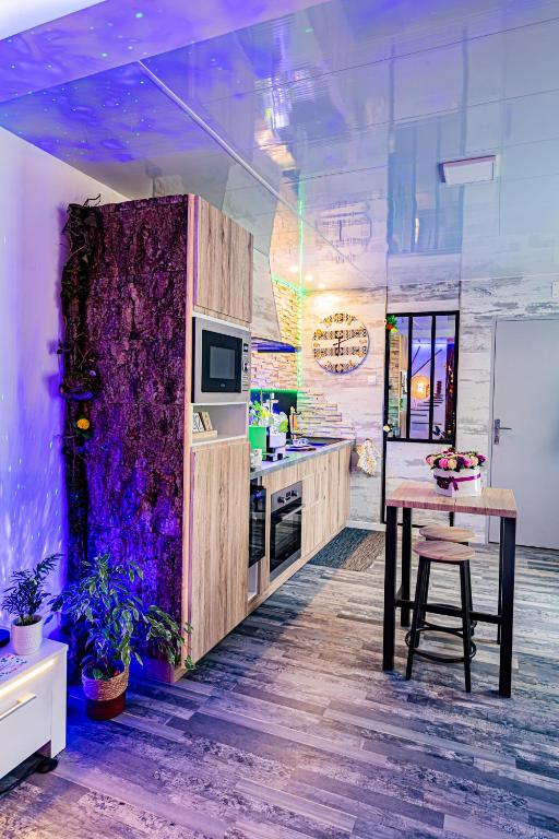 Le Néflier Dijon - appart balnéo - SPA romantique pour 2 - Dijon21 de Le Néflier Dijon - appart balnéo - SPA romantique pour 2
