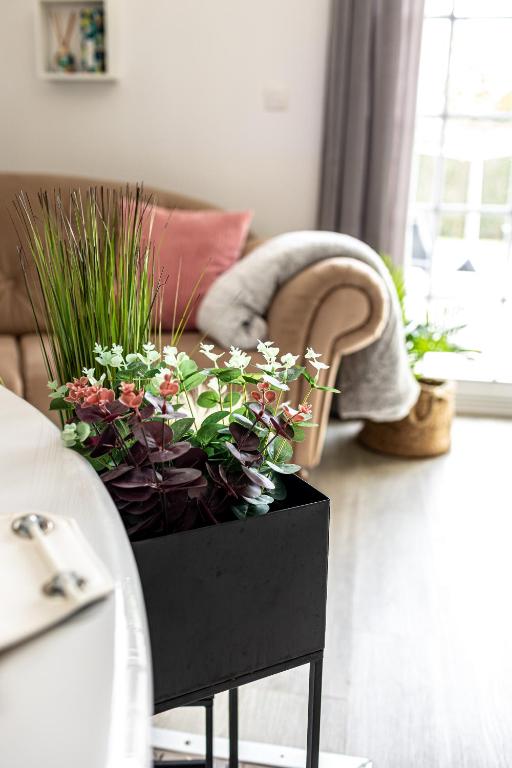 Suite L'echappee - Maison romantique - SPA & Sauna Privatif- Pole Dance - Lit rond avec miroir au plafond - Pézarches16 de Suite L'echappee - Maison romantique - SPA & Sauna Privatif- Pole Dance - Lit rond avec miroir au plafond
