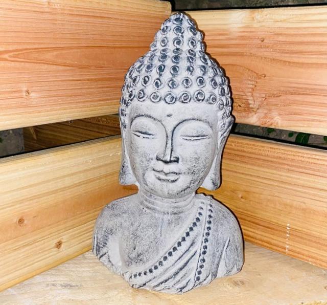 Love Room - La Parenthèse - Saint-Bauzille-de-la-Sylve13 de Love Room - La Parenthèse
