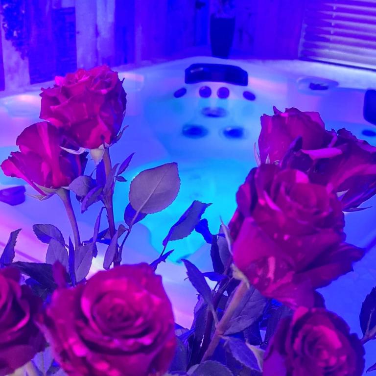 Loveroom La Garçonn'Hyères - Hyères6 de Loveroom La Garçonn'Hyères
