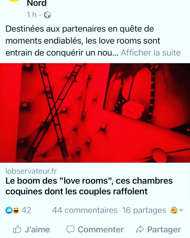 Redroom Loveroom Chambre Spa privative Insolite Thème 50 nuances de grey - Douchy-les-Mines10 de Redroom Loveroom Chambre Spa privative Insolite Thème 50 nuances de grey
