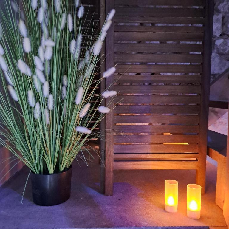 Ba'Cam SPA - Étigny19 de Ba'Cam SPA
