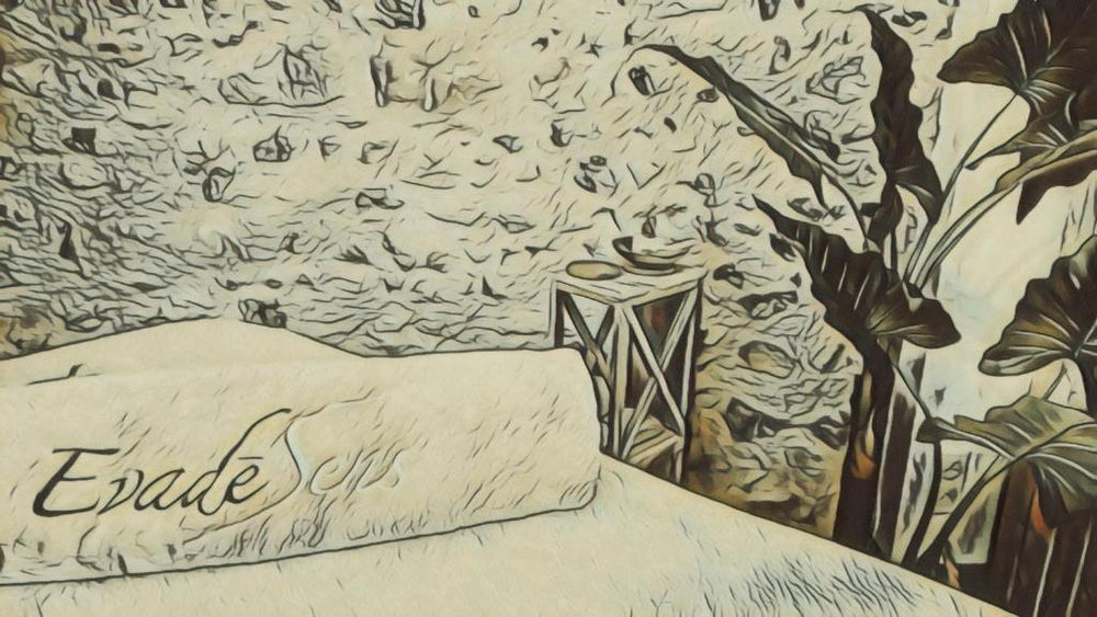 Ba'Cam SPA - Étigny18 de Ba'Cam SPA
