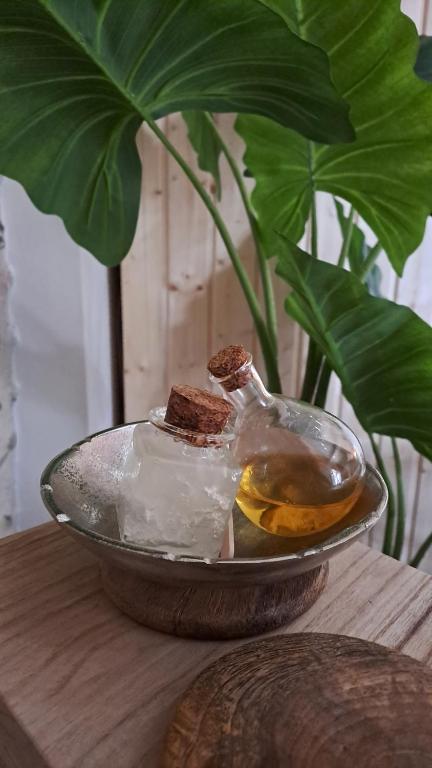 Ba'Cam SPA - Étigny15 de Ba'Cam SPA
