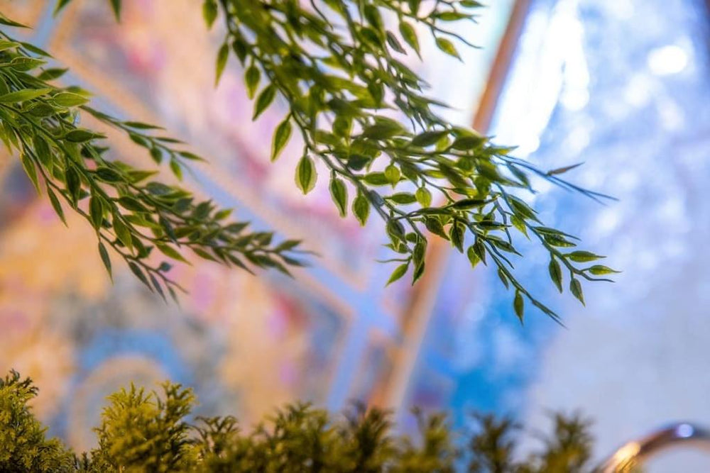 luxury Love Room Spa Whirlpool Jacuzzi - Nürnberg5 de luxury Love Room Spa Whirlpool Jacuzzi
