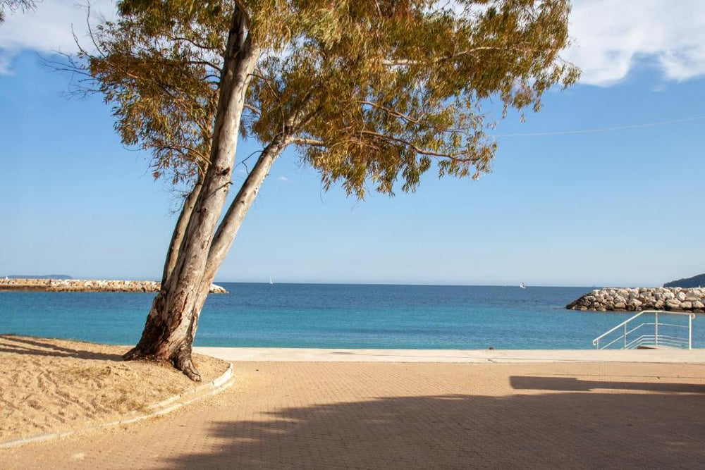 Love Room avec Balnéo - Toulon17 de Love Room avec Balnéo
