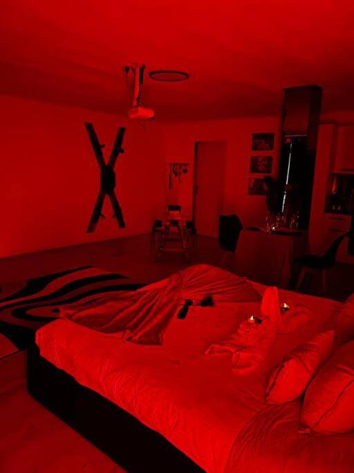 Love Room 80m2 BDSM 50 nuances de Grey - SAUNA - Parking gratuit - Antibes11 de Love Room 80m2 BDSM 50 nuances de Grey - SAUNA - Parking gratuit
