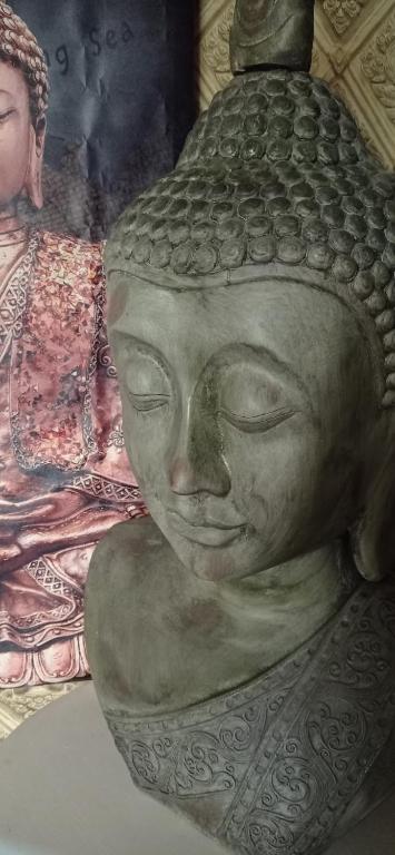 Eternity Alicante - Alicante15 de Eternity Alicante
