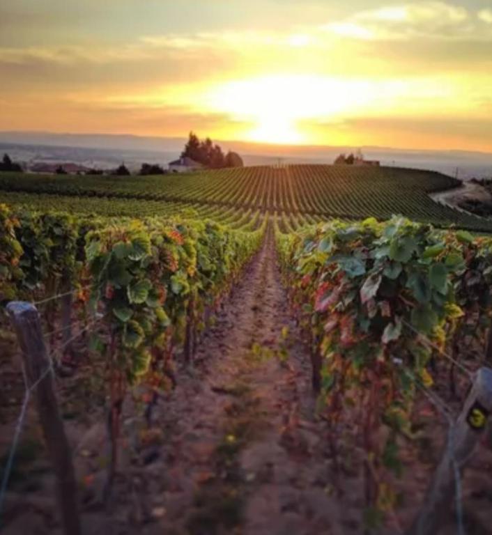 PLAISIR EXTREME - Roanne33 de PLAISIR EXTREME
