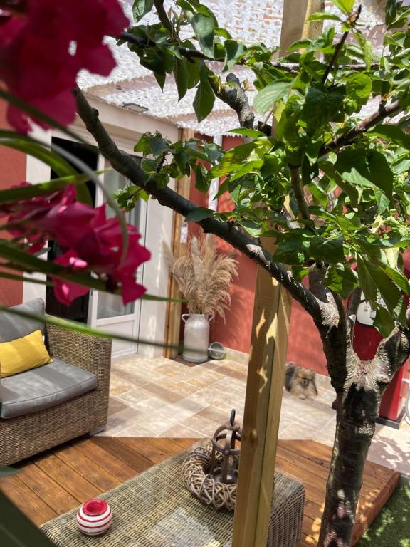 SUITE 785 Chambre Jacuzzi Sauna - Montauban43 de SUITE 785 Chambre Jacuzzi Sauna
